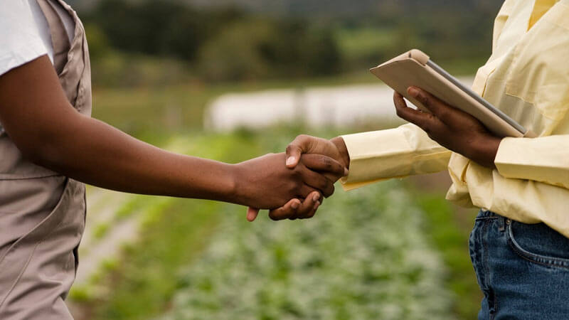 Vibrant agricultural farm field supported by financing